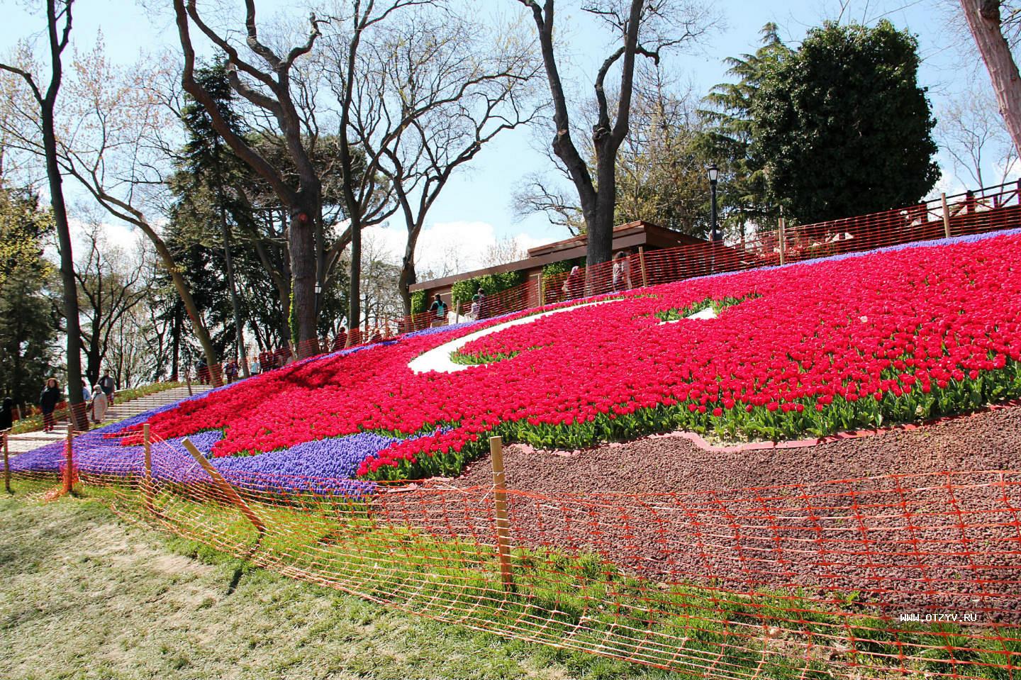 Стамбул 2017. Парк Эмирган в Стамбуле тюльпаны. Гюльхане парк Стамбул тюльпаны. Парк Гюльхане фестиваль тюльпанов. Парк Эмирган фестиваль тюльпанов.