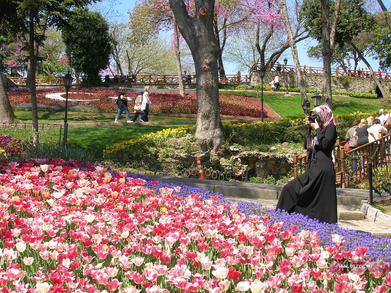Погода турции в конце апреля начале мая. Парк Ыхламур Стамбул. Магнолия в Стамбуле. Стамбул Турция в апреле.