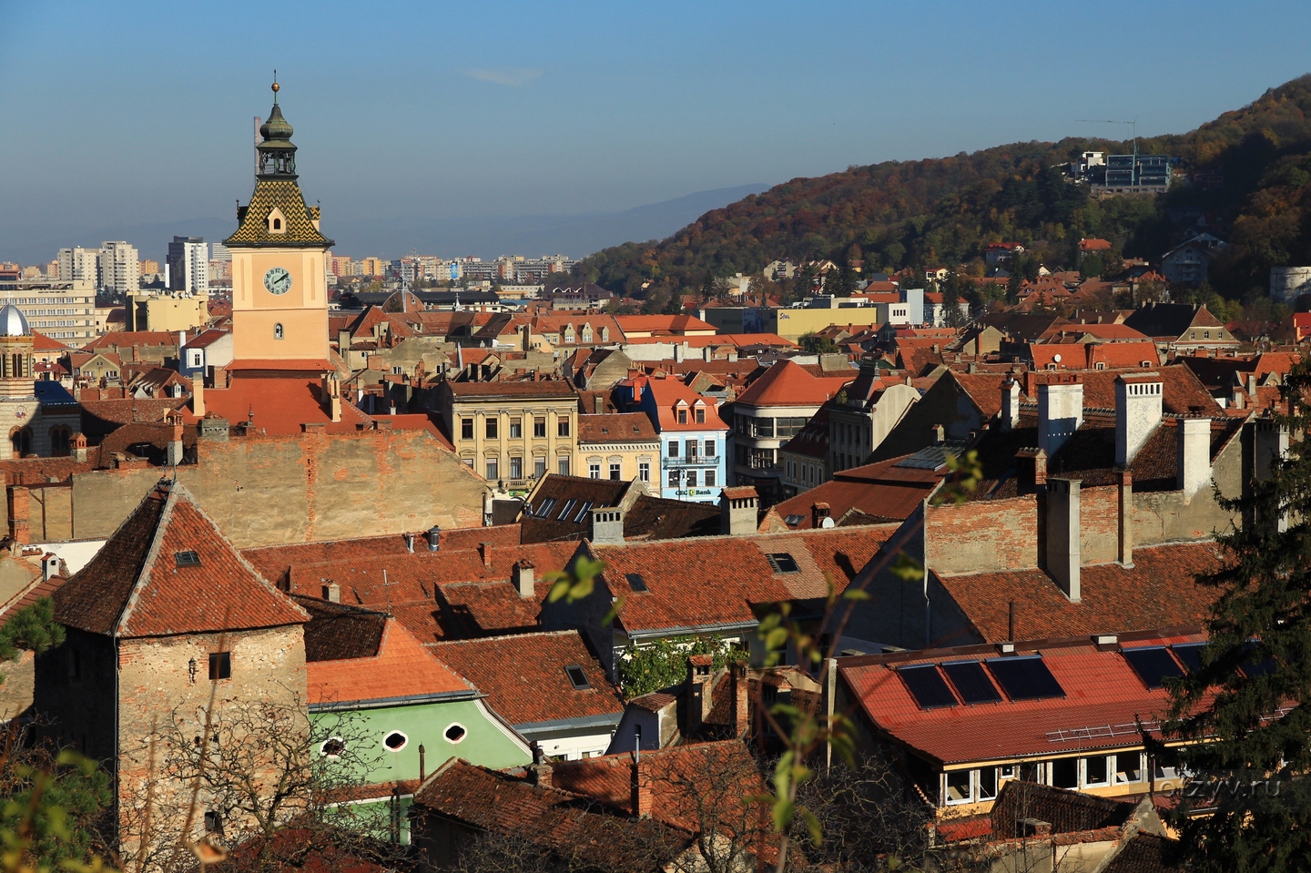 Curve Brasov