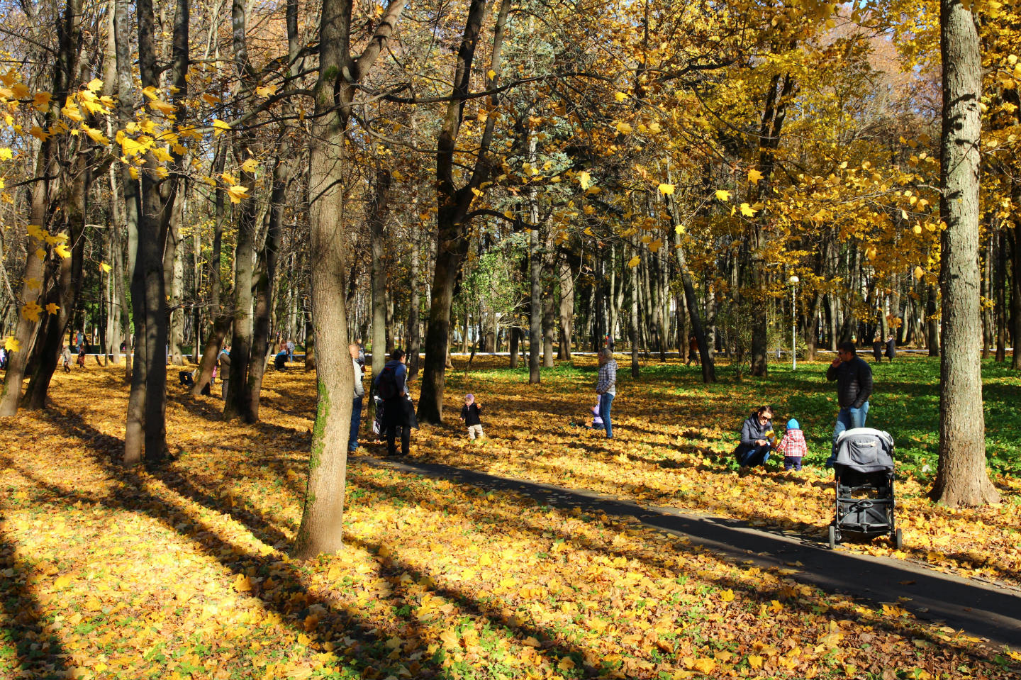 Архангельское парк осень