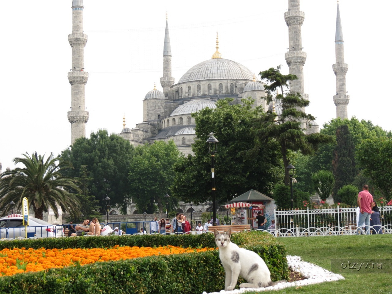 Стамбул 2017. Стамбул Турция туристы. Стамбул летом. Стамбул фото туристов. Стамбул Турция фото туристов.
