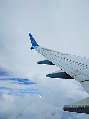 � ����� �����: ������, ������� � �����. ����� ������ ������