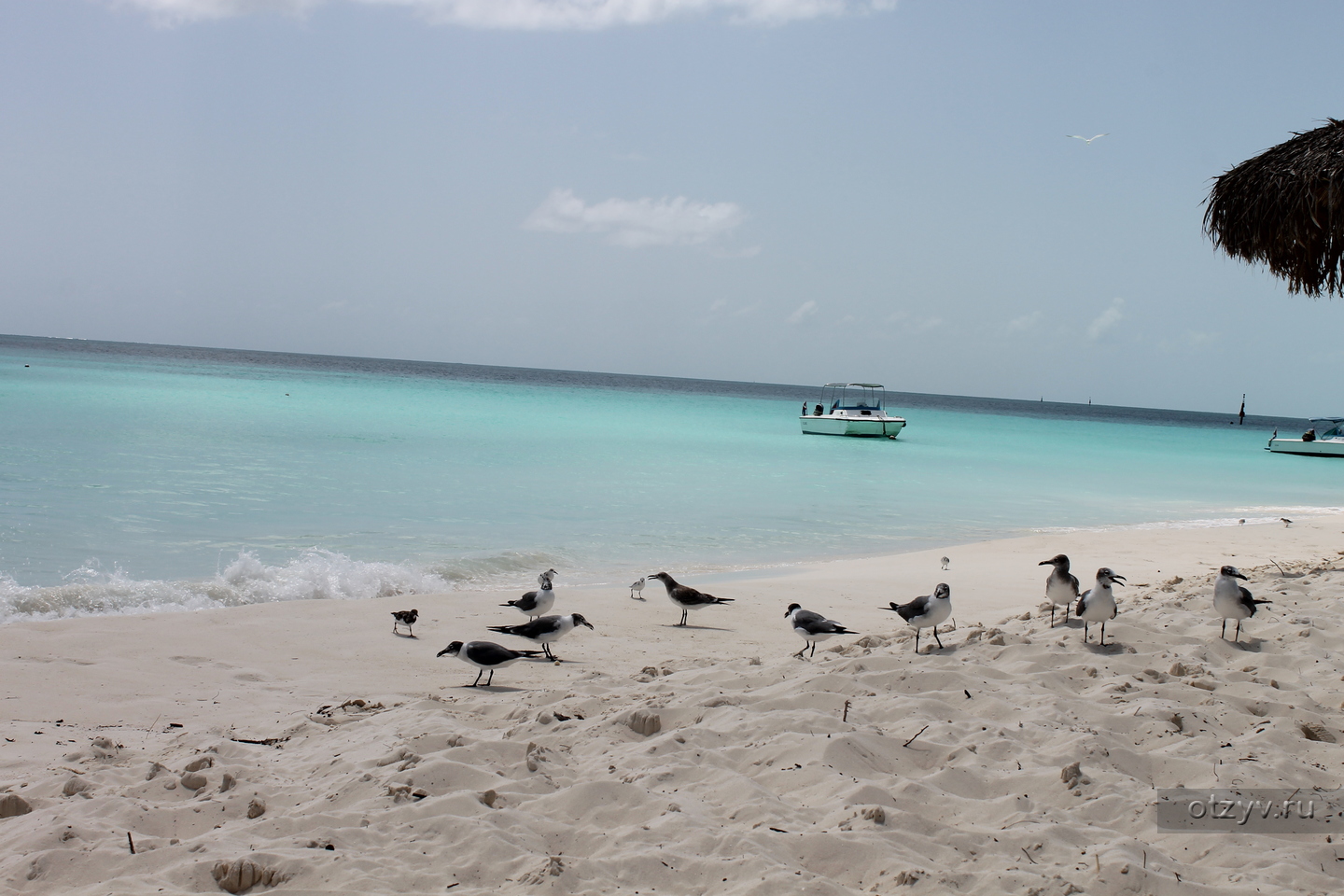 Cayo largo пляжи