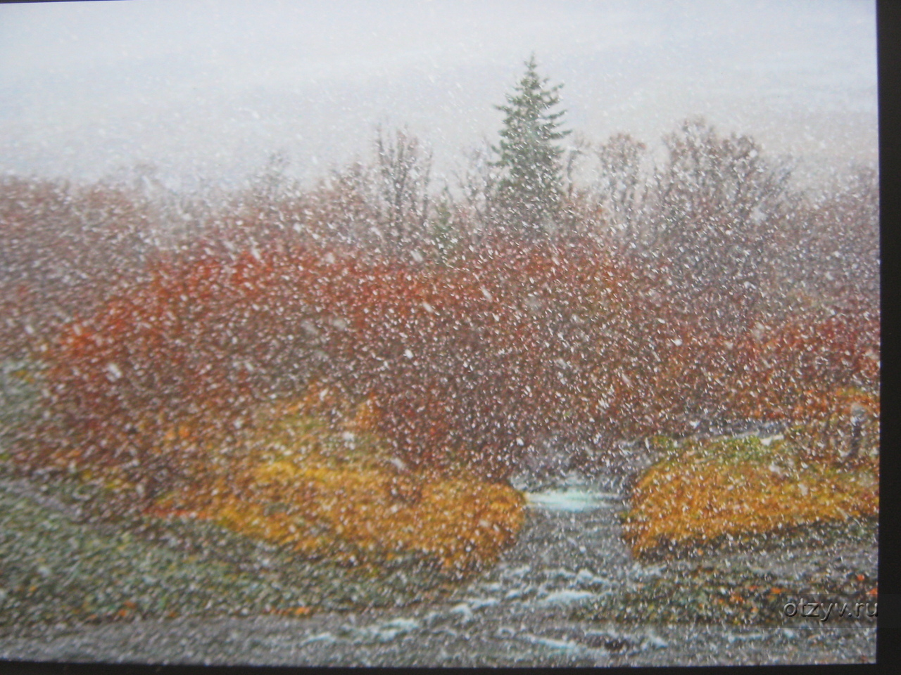 Золотом заполыхала листва место сбора. Осенний дождь со снегом. Поздняя осень дождь. Поздняя осень дождь со снегом. Осенняя метель.