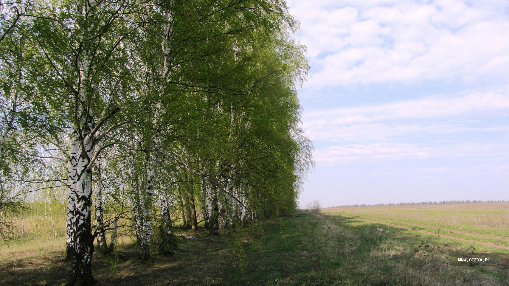 Природа рязанской области фото Майские чудные дни! Усадьбы, монастыри и Кремли Московско-Рязанского направления