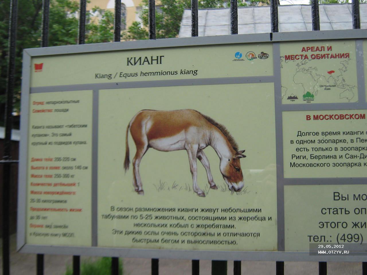 Московский зоопарк часы работы цены на билеты