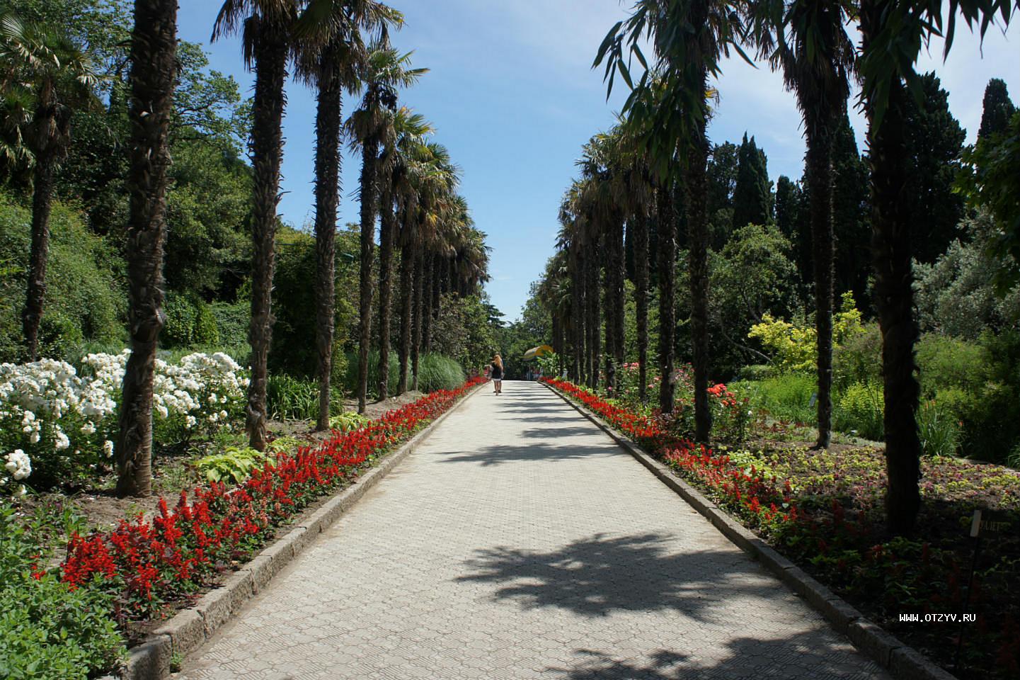 Городские парки ялты