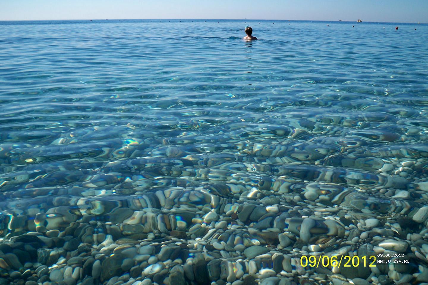 рыбы в средиземном море турция