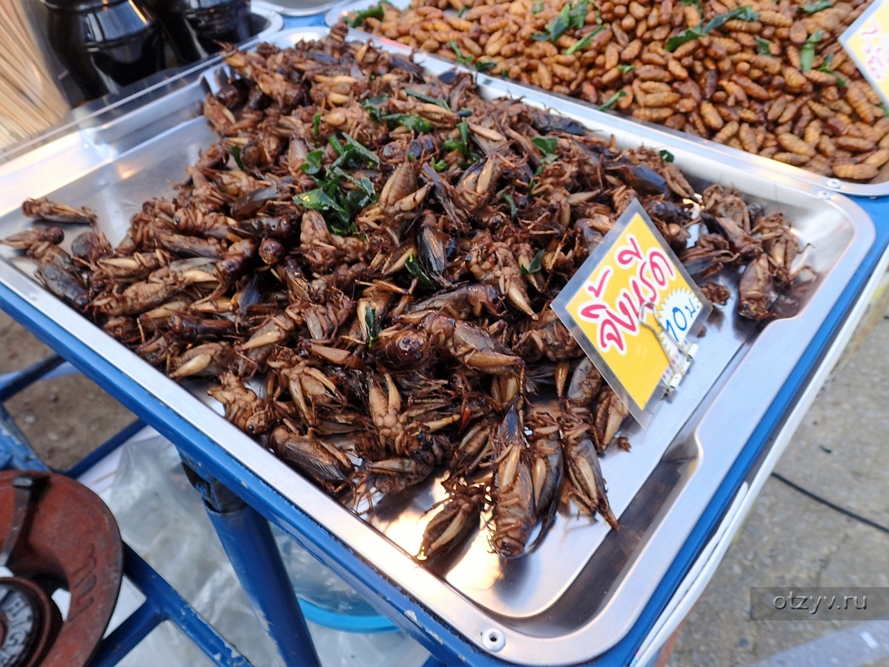 Жареные тараканы в Тайланде