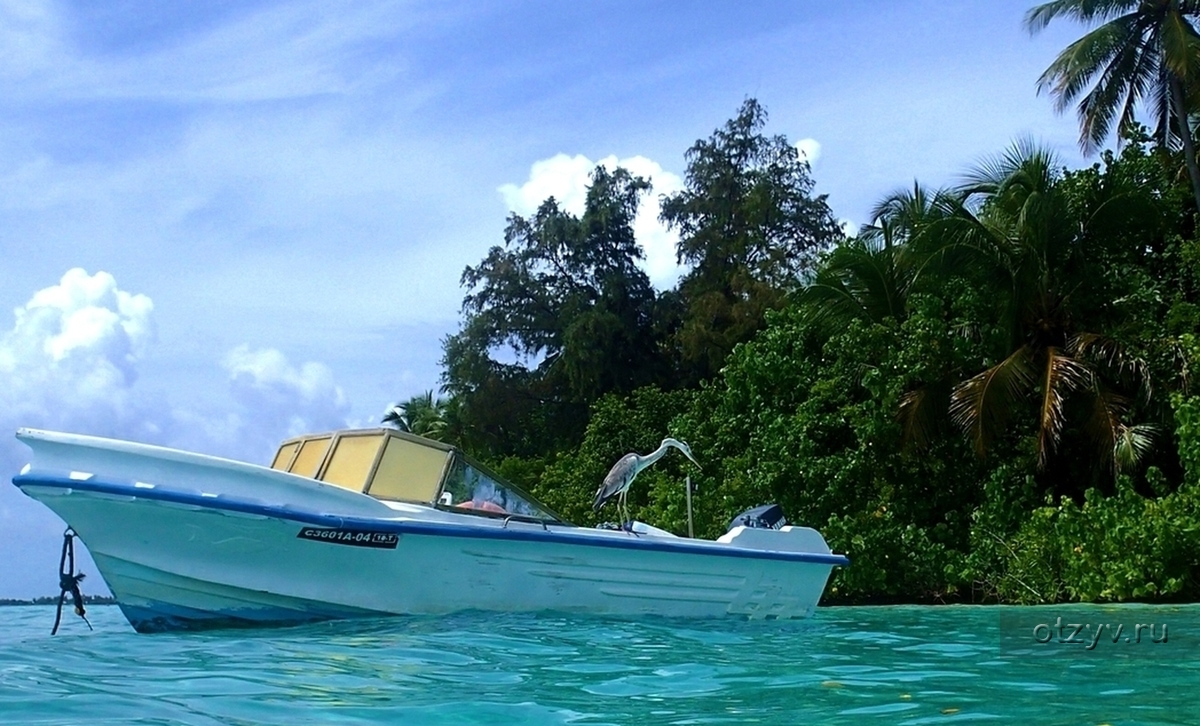 Отель Мальдивы Biyadhoo Island