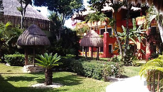 Что лучше iberostar или bahia в мексике. Смотреть фото Что лучше iberostar или bahia в мексике. Смотреть картинку Что лучше iberostar или bahia в мексике. Картинка про Что лучше iberostar или bahia в мексике. Фото Что лучше iberostar или bahia в мексике