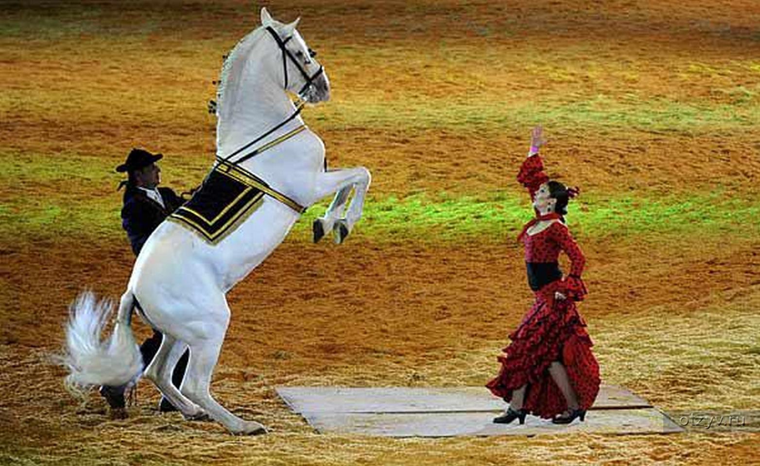 Танец лошадки. Андалузская лошадь фламенко. Фотосессия с лошадьми. Танец с лошадью. На лошади в национальном костюме.