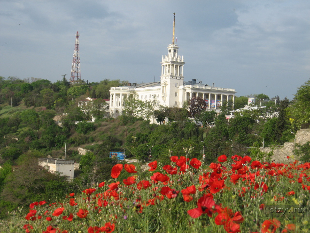 Цветы Севастополь на фоне