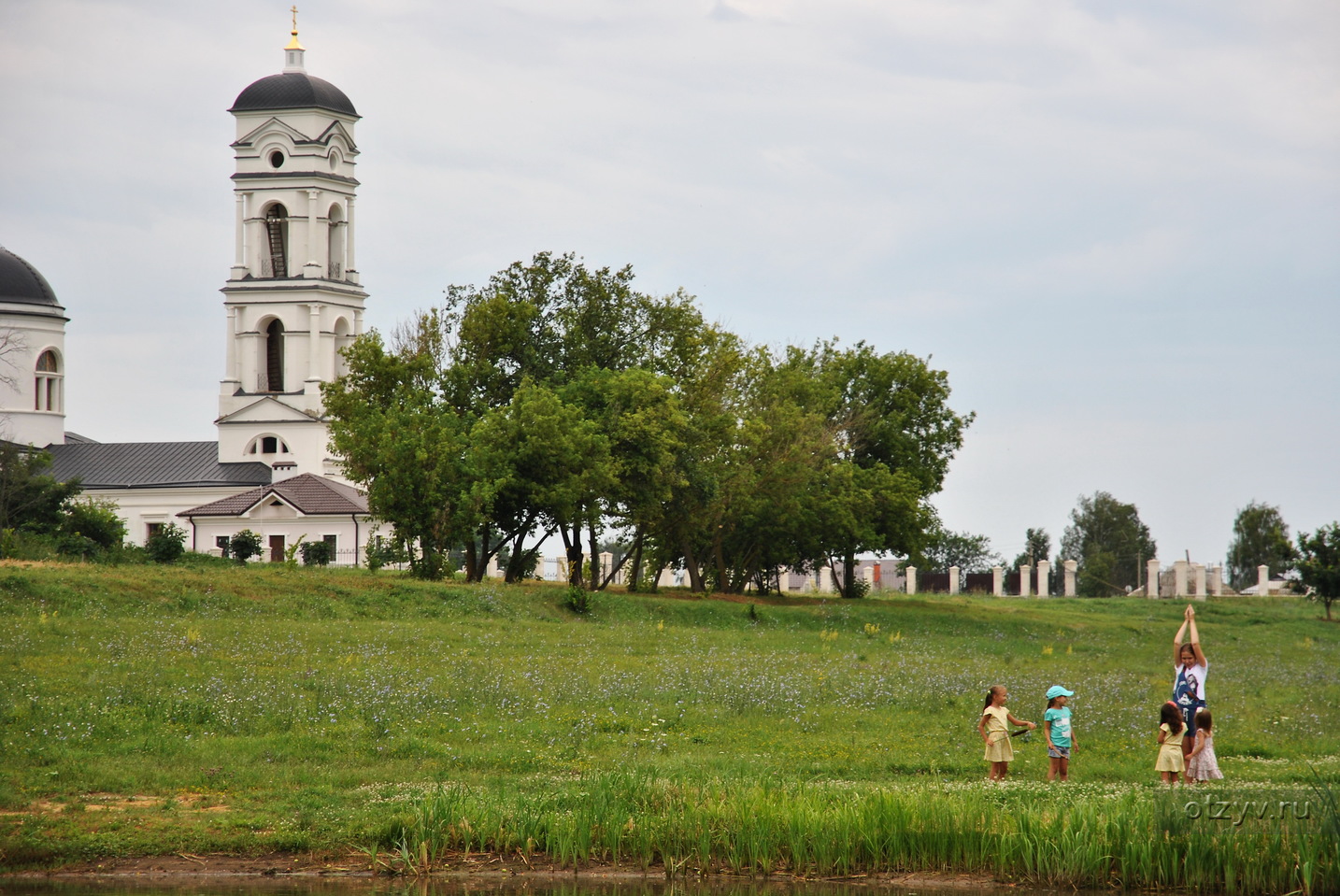 Скорняково липецкая область