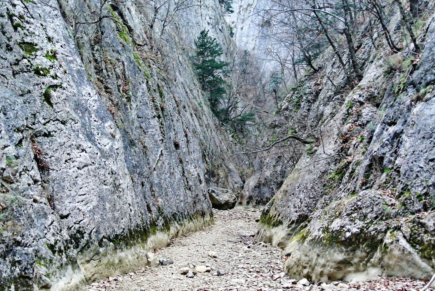 Большой каньон Крыма зимой