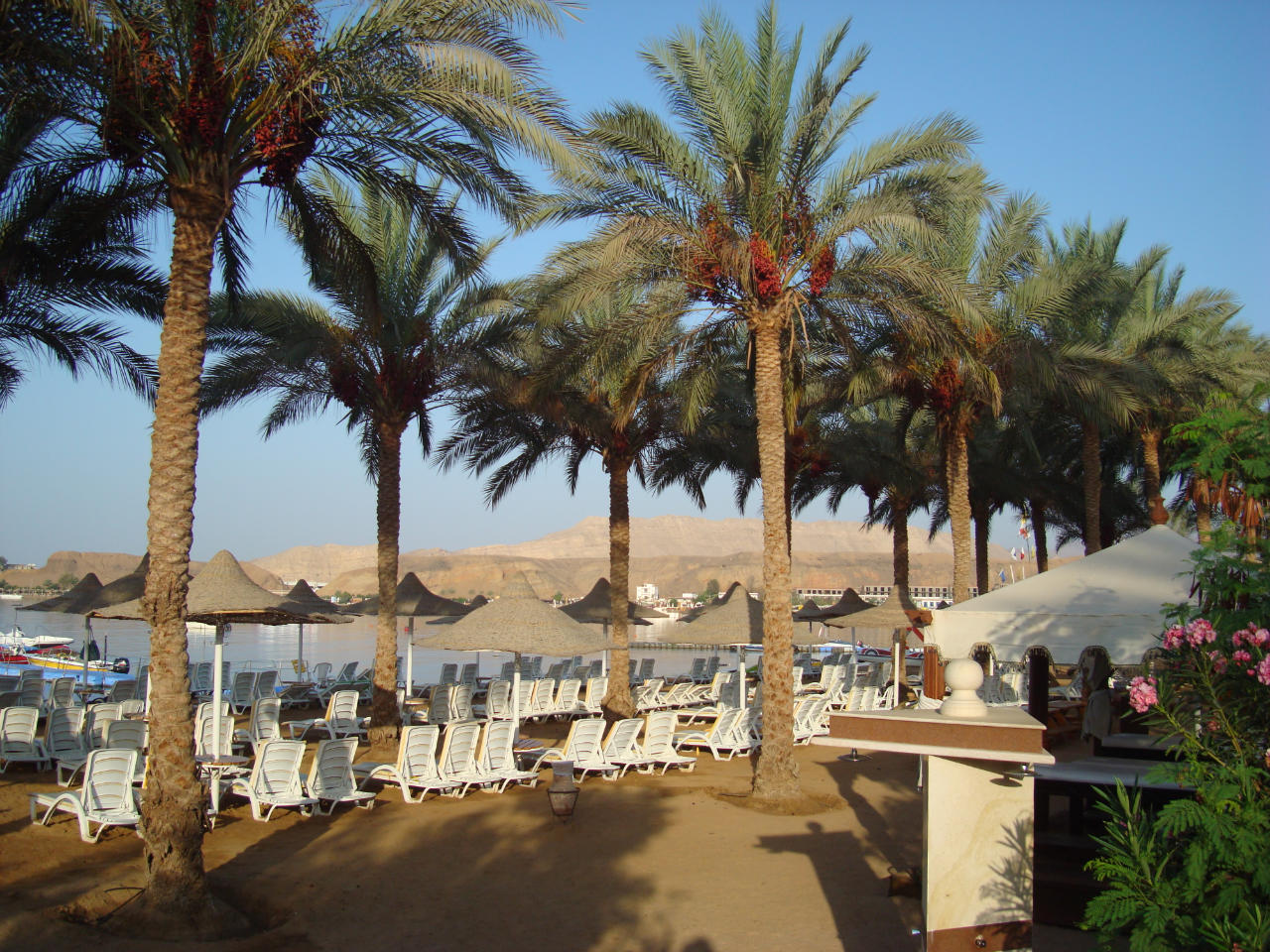 сити шарм отель египет