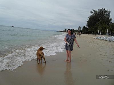 На пляже Ламай с собачкой, которая плавает за бутылкой