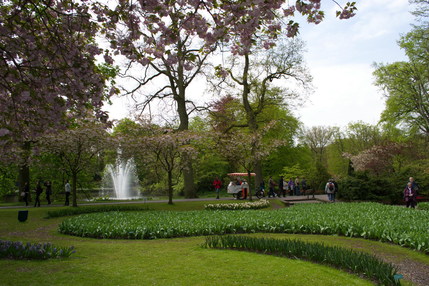 Холланд парк. Холланд-парк (Holland Park). Голланд-парк Лондон. (Холланд парк), Лондон, Великобритания. Водопад Холланд парк Лондон.