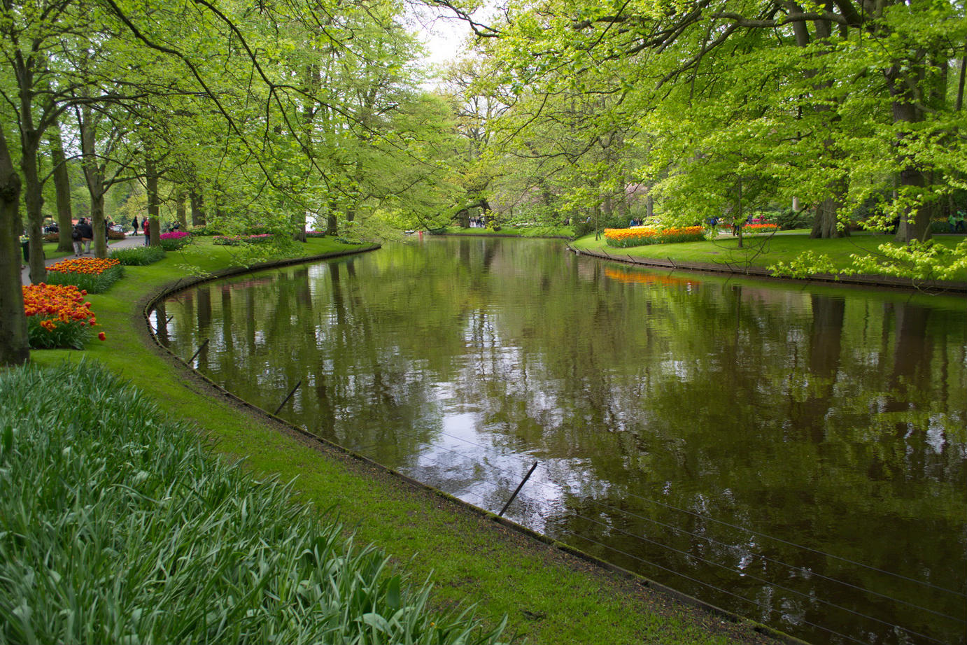 Холланд парк. Холланд-парк (Holland Park). Холланд парк Лондон. Голландский сад Холланд-парк в Лондоне. Ирисовый сад Холланд-парк в Лондоне.