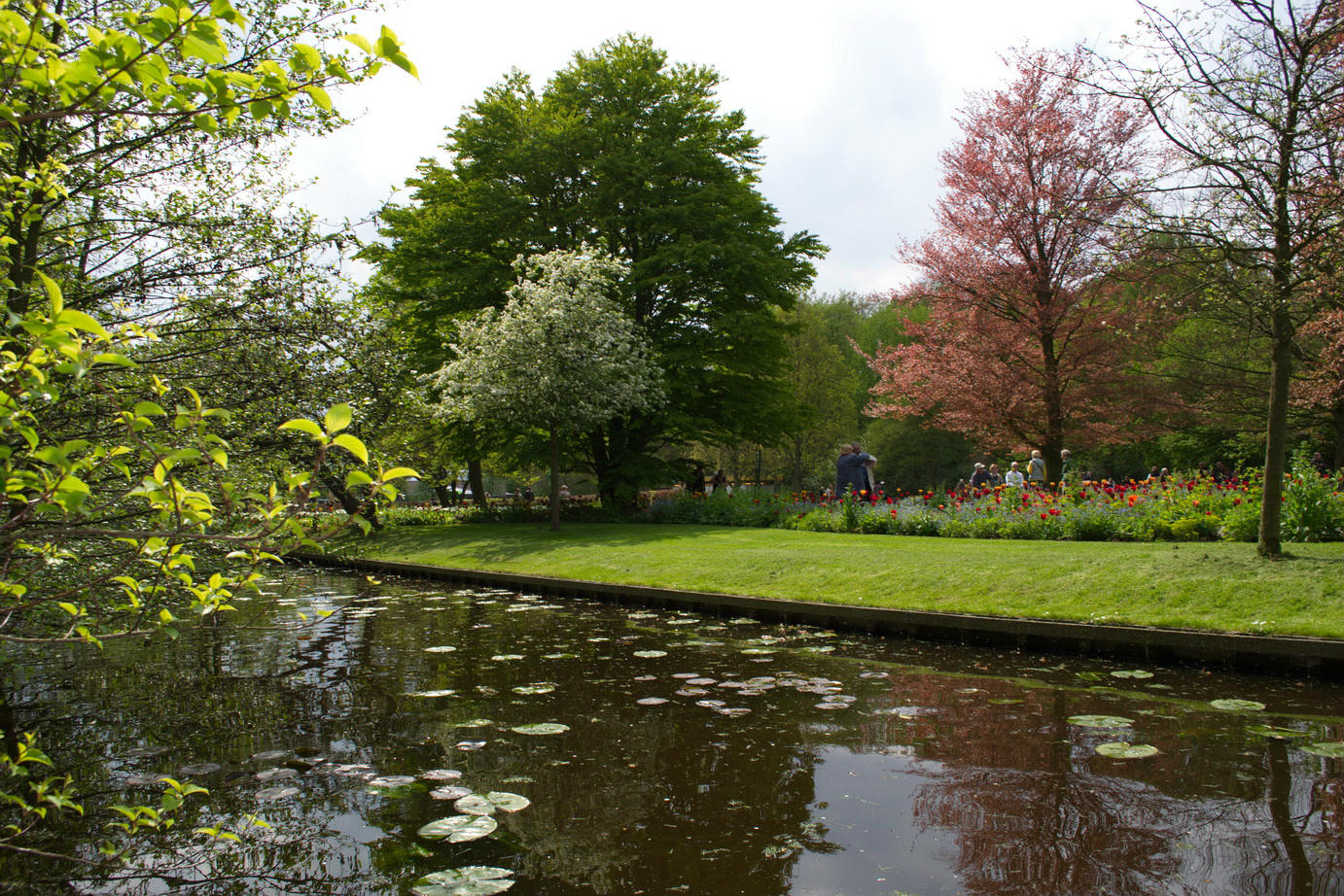 Холланд парк. Холланд-парк (Holland Park). Holland Park пик. Холланд парк Москва. ЖК «Holland Park (Холланд парк)».