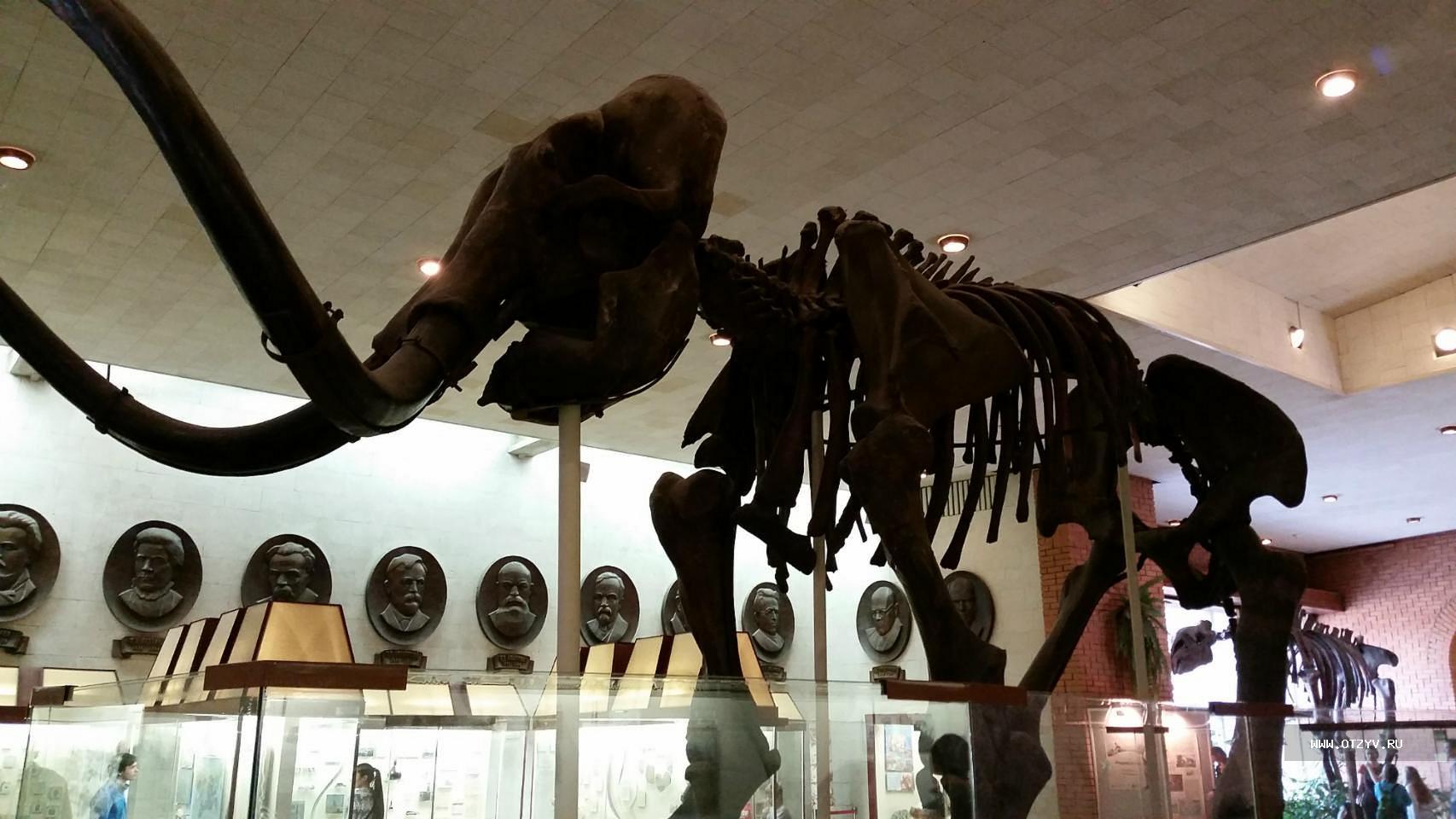музей динозавров в москве