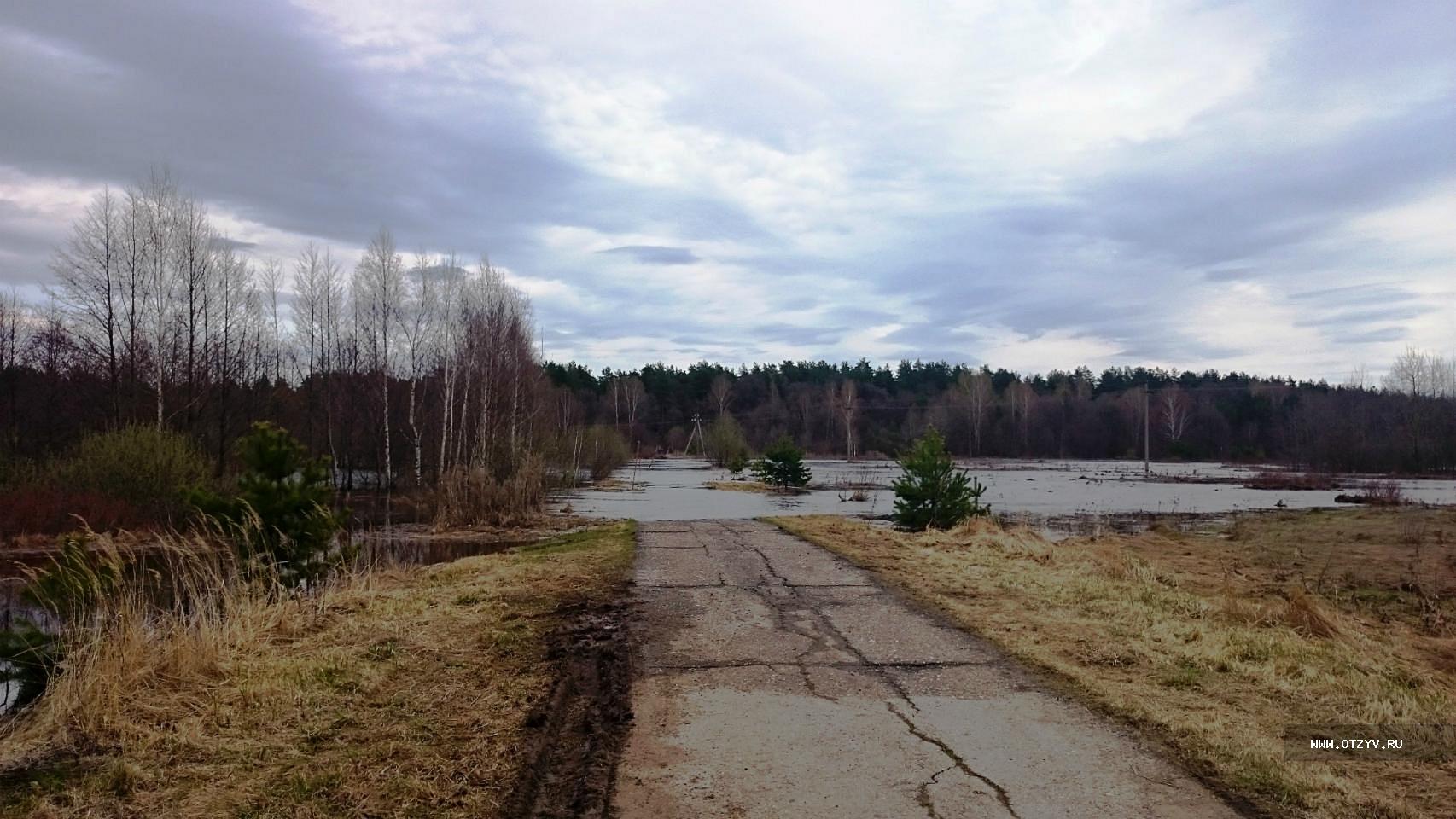 база отдыха алсма нижегородская область