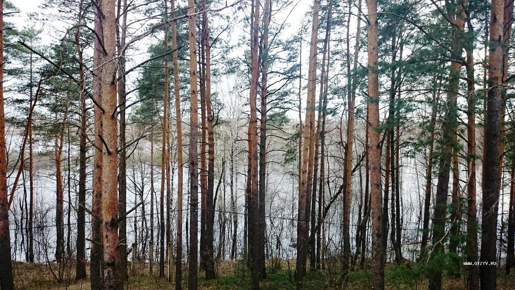 база отдыха алсма нижегородская область