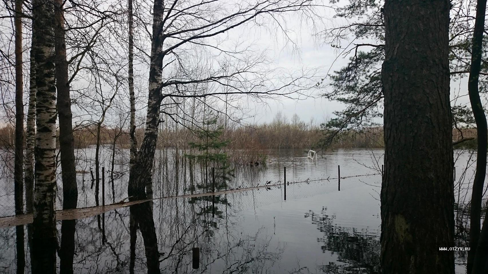 база отдыха алсма нижегородская область