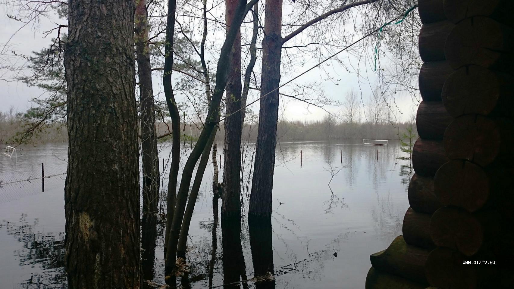 база отдыха алсма нижегородская область