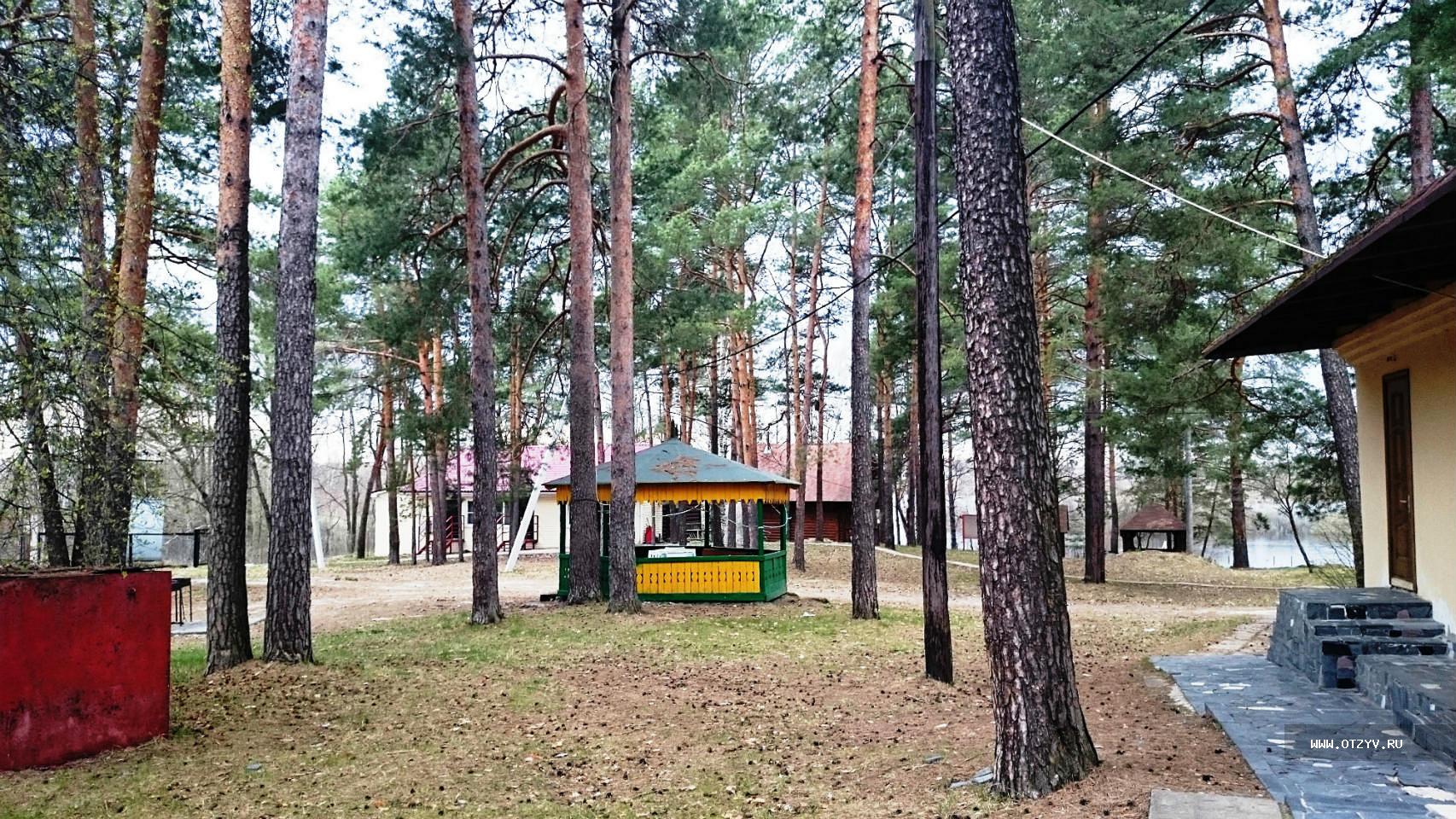 база отдыха алсма нижегородская область