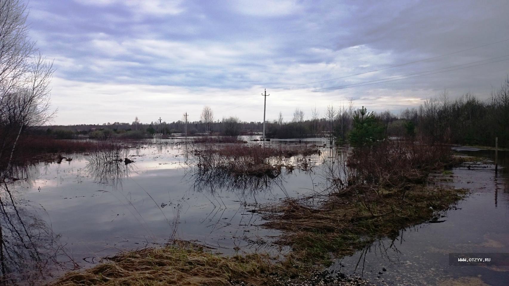 база отдыха алсма нижегородская область