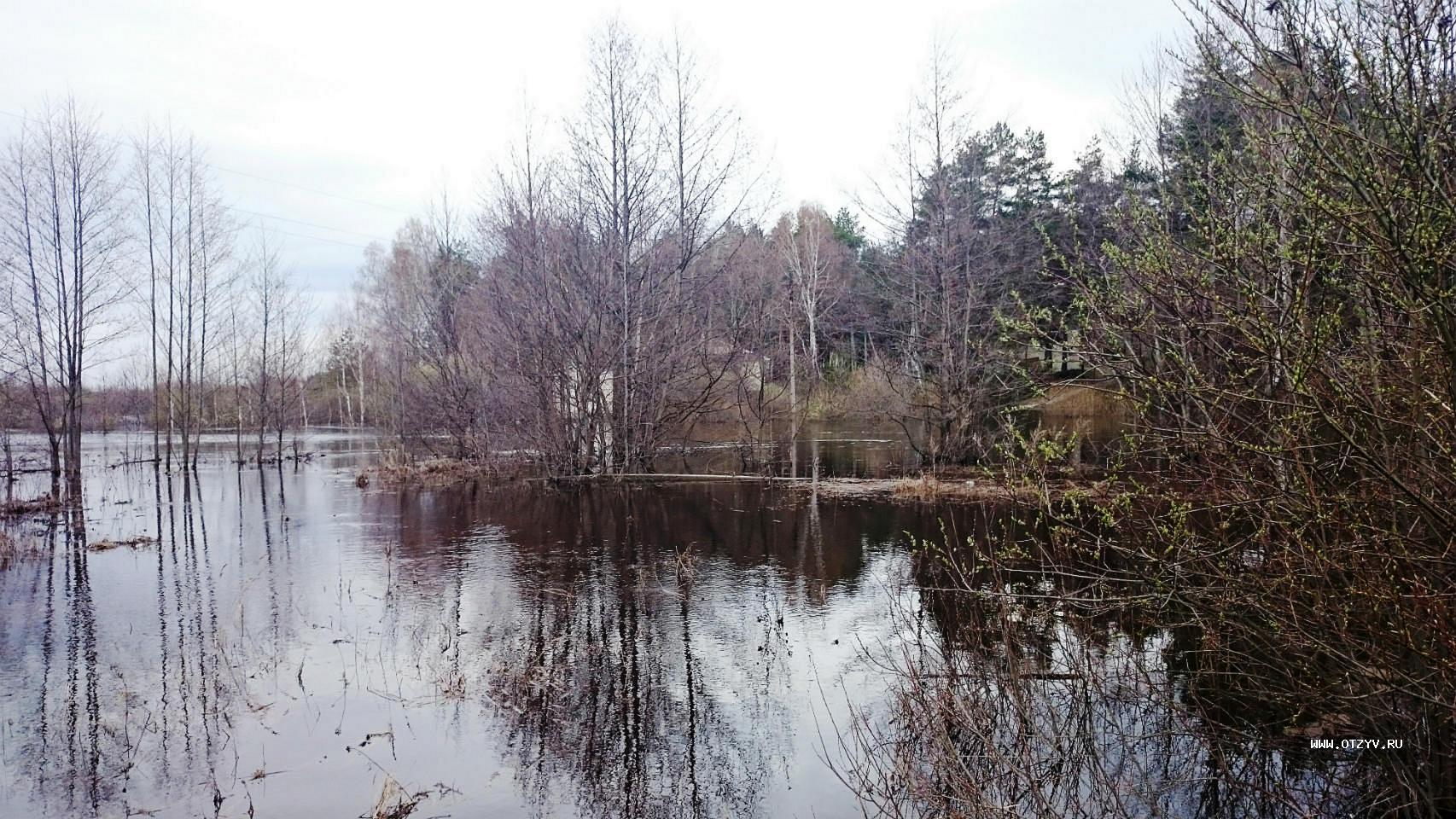 база отдыха алсма нижегородская область