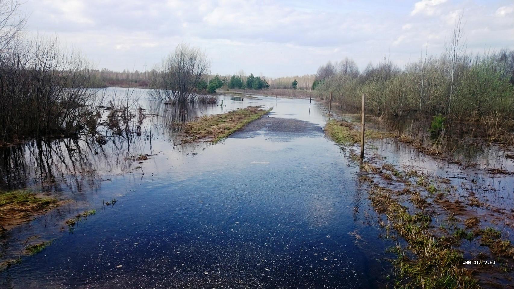 база отдыха алсма нижегородская область