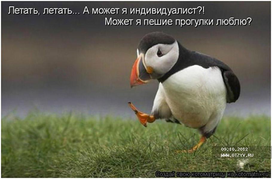 окончание отпуска картинки онлайн окончание отпуска картинки