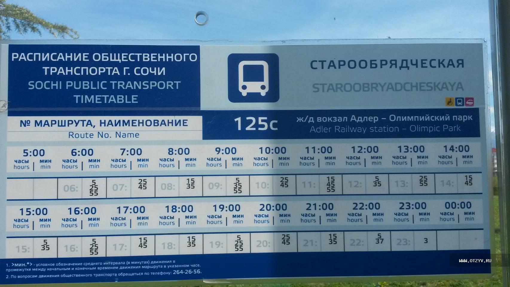 Расписание автобусов от аэропорта Сочи