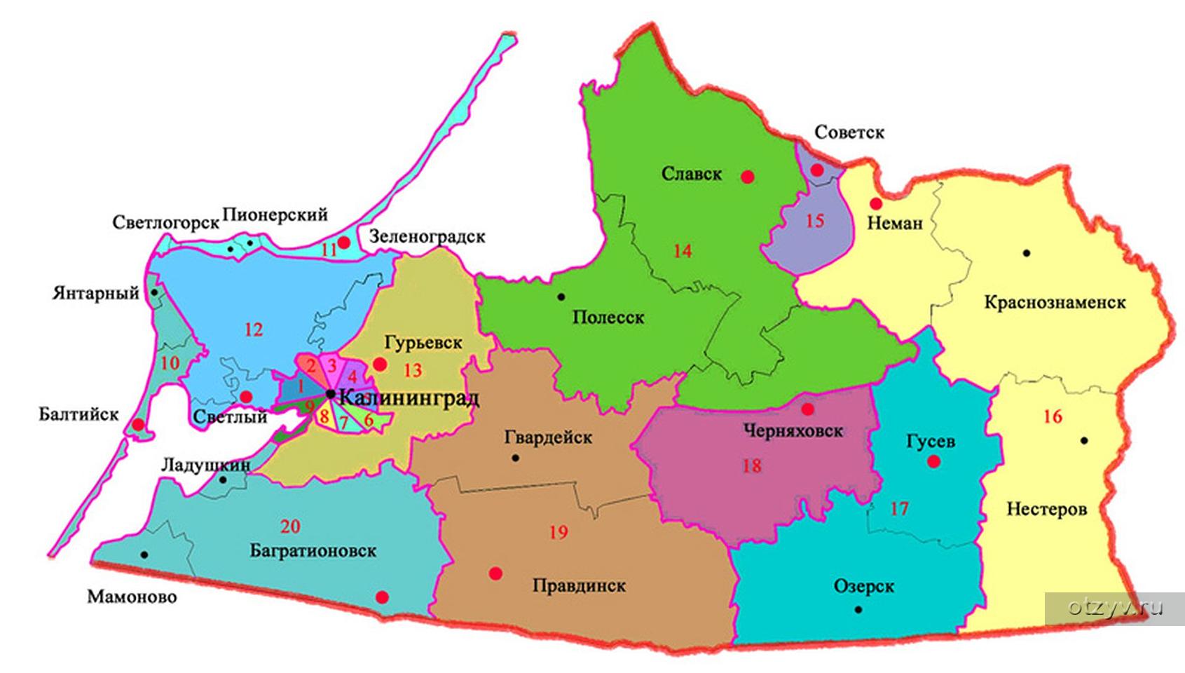 Автономные учреждения калининградской области