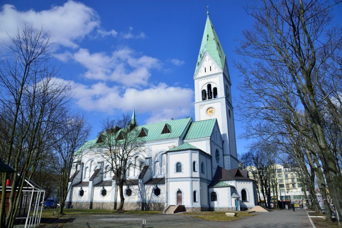 Кирха памяти королевы Луизы Калининград