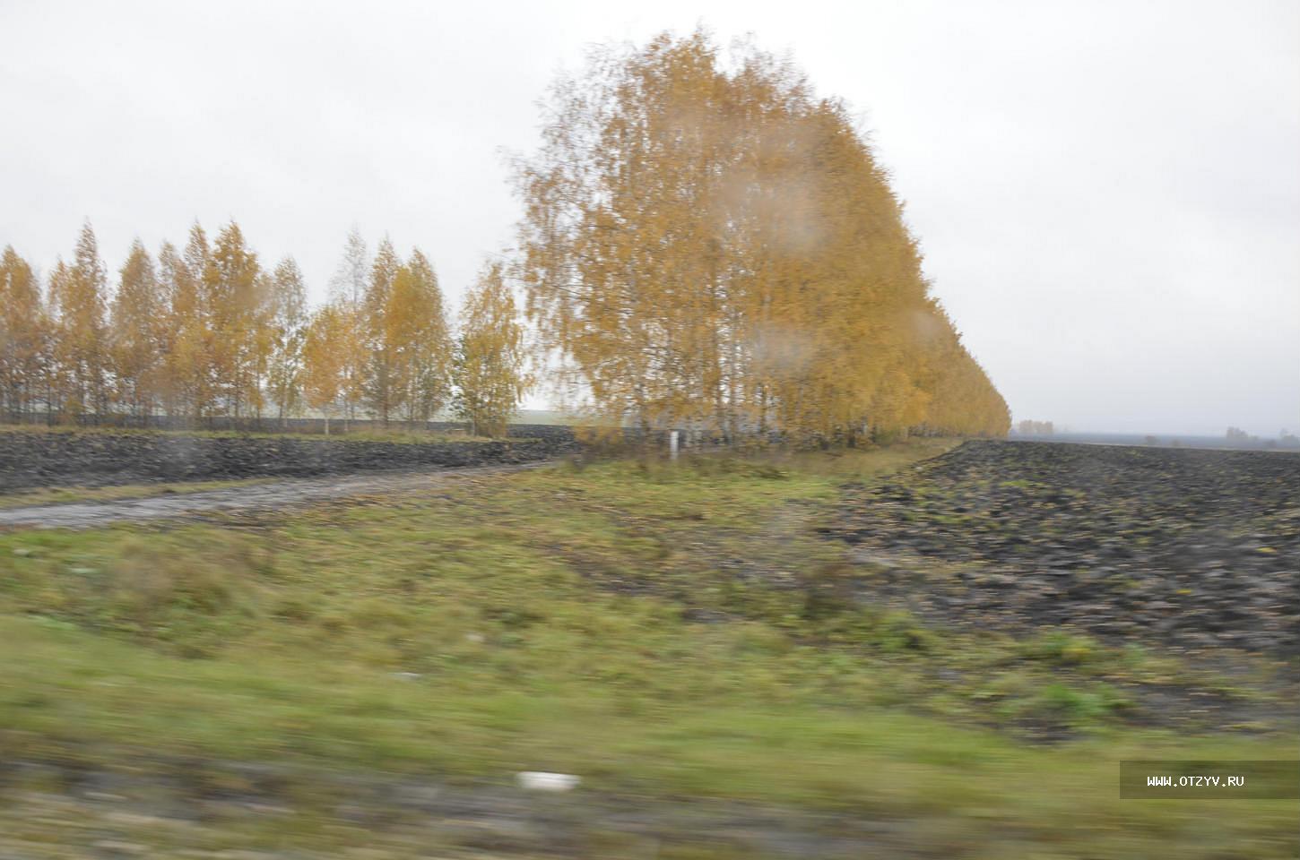 Большое Болдино. Осень 2013. Маленький рассказ и большой фотоотчёт. —  рассказ от 08.11.13