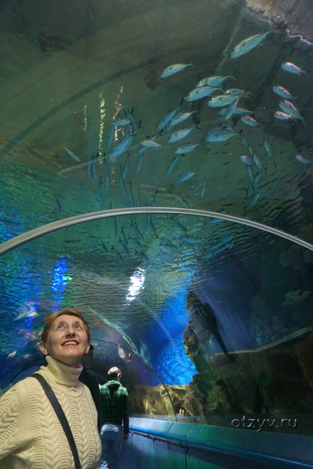 Океанариум / Питер / Санкт-Петербург, Россия / Фотоальбом: ViknikK