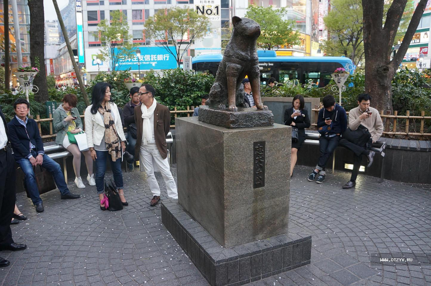 Хатико в каком городе. Памятник Хатико в Японии. Сибуя Токио статуя Хатико. Памятник Хатико в Токио. Памятник Хатико на станции Сибуя.