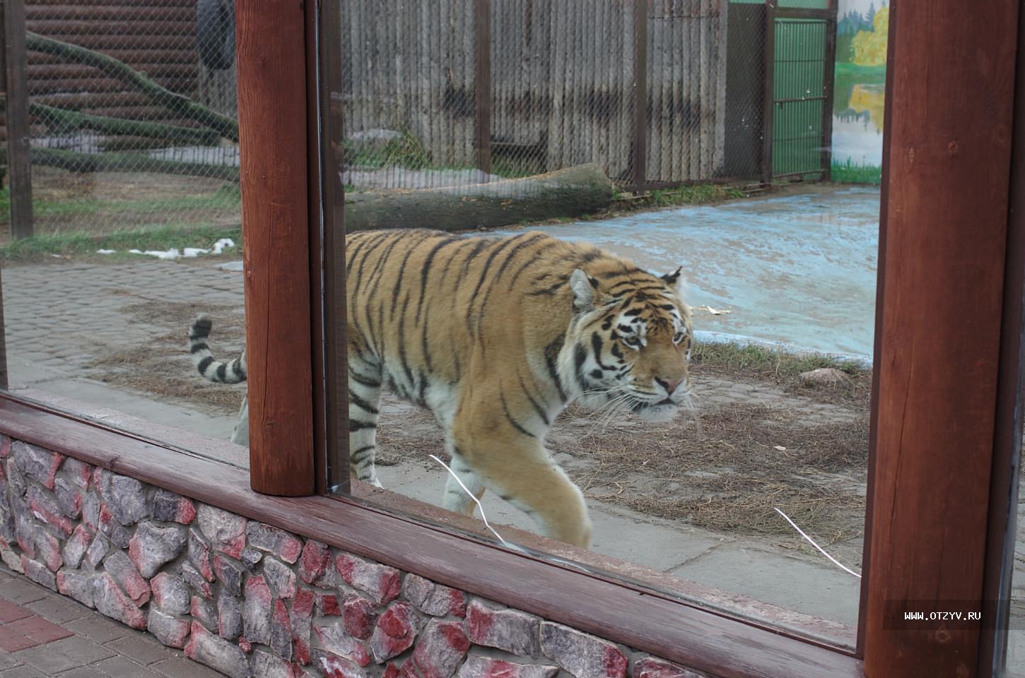 зоопарк в нижнем новгороде фото