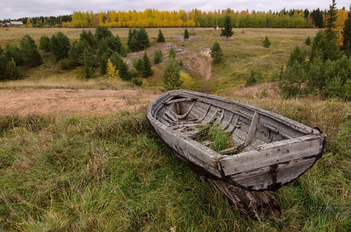 Поселок савинский архангельская область плесецкий район фото