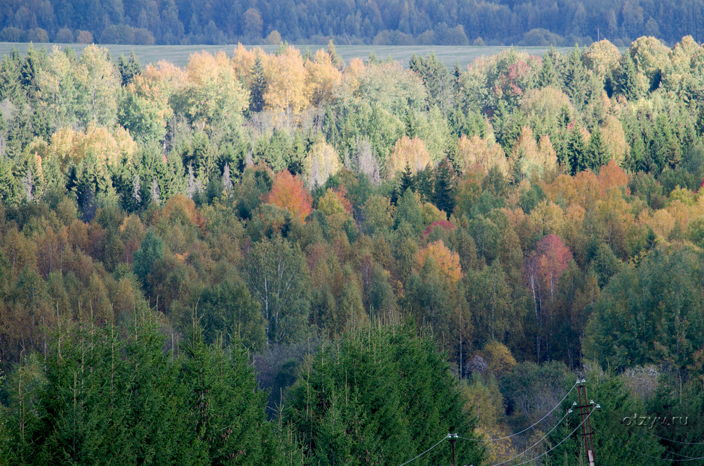 Жила-была Тотьма. — рассказ от 31.10.15