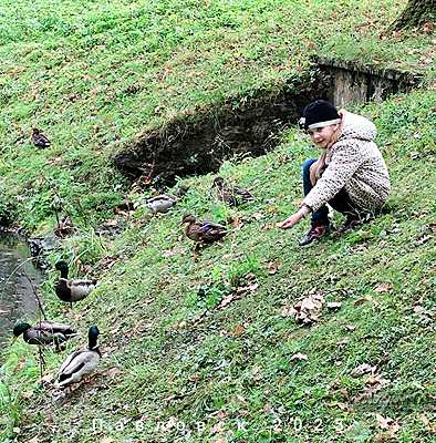 �����-��������� - ������ - ���������