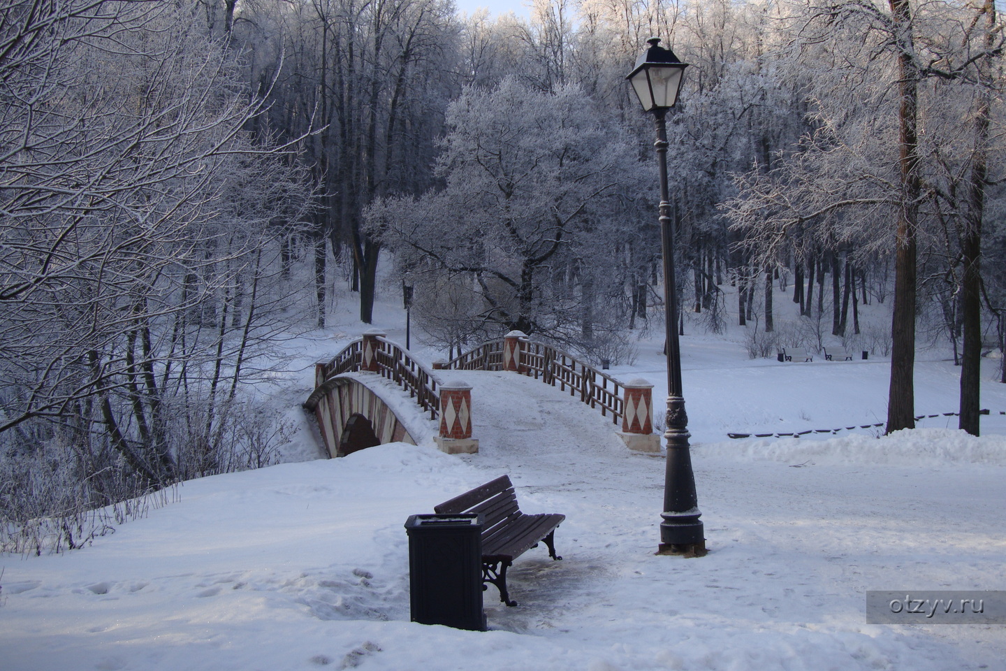 парк в царицыно зимой