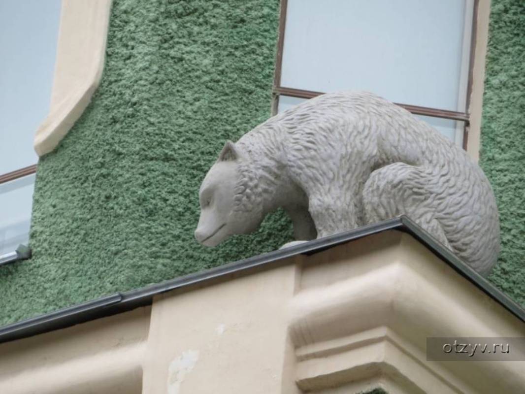 Дом, в окно которого выглядывает медведь