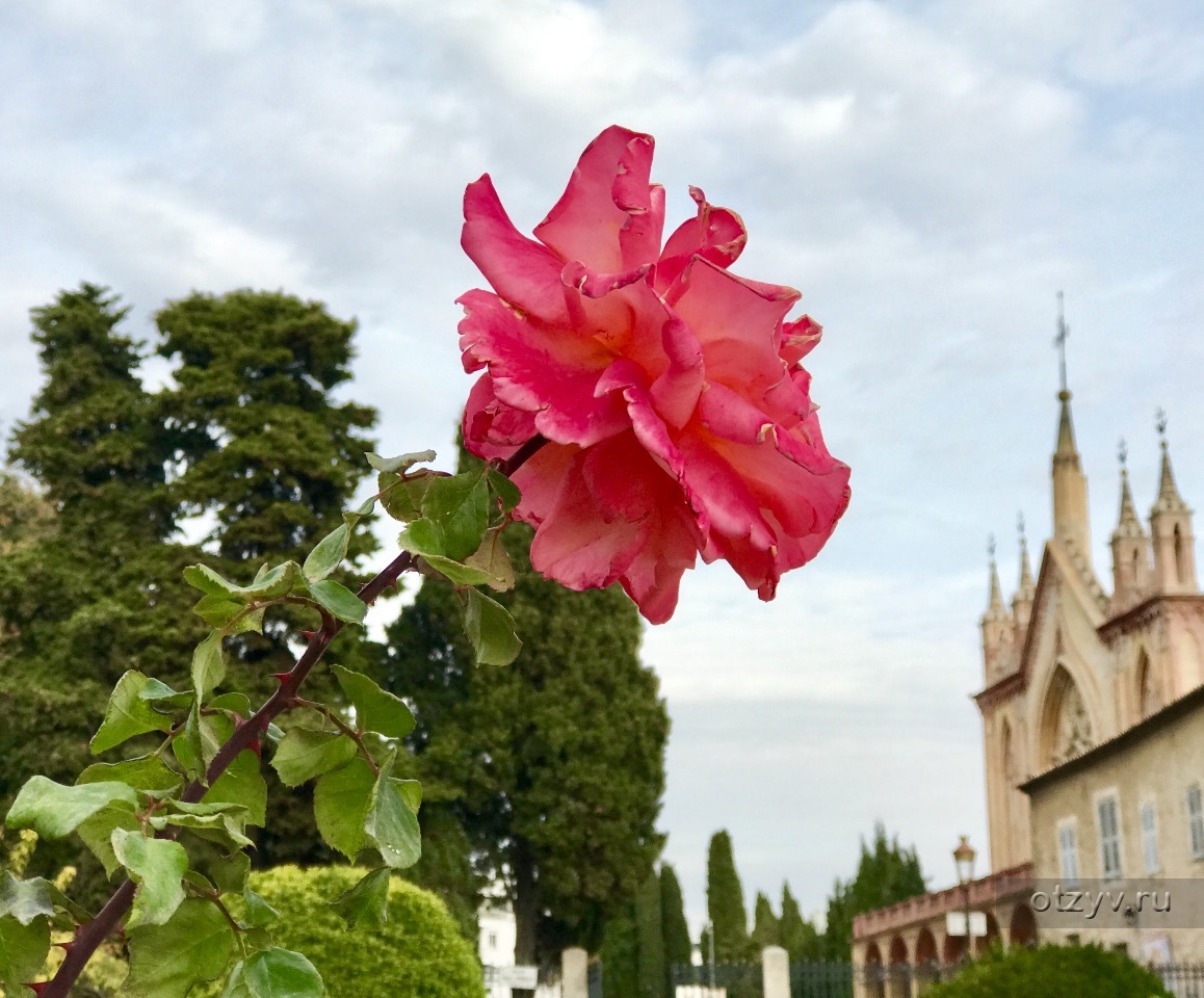 Nice garden перевод