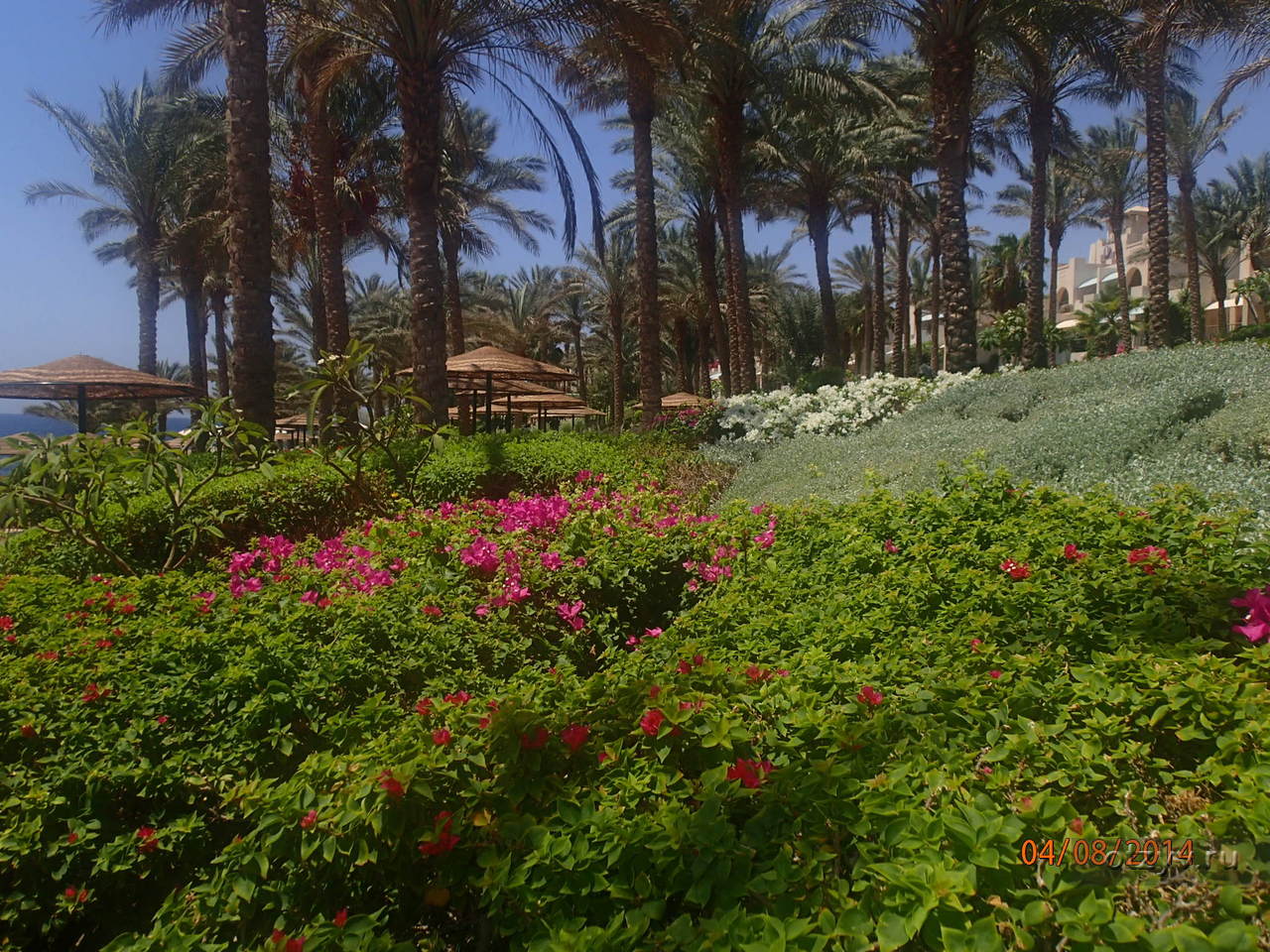 Grand rotana resort