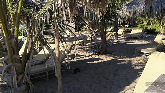 , Le Meridien Al Aqah Beach Resort 5*