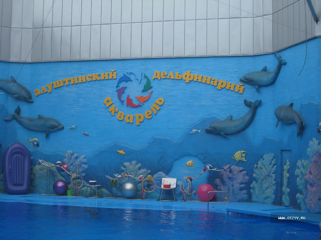 Алуштинский дельфинарий акварель схема зала